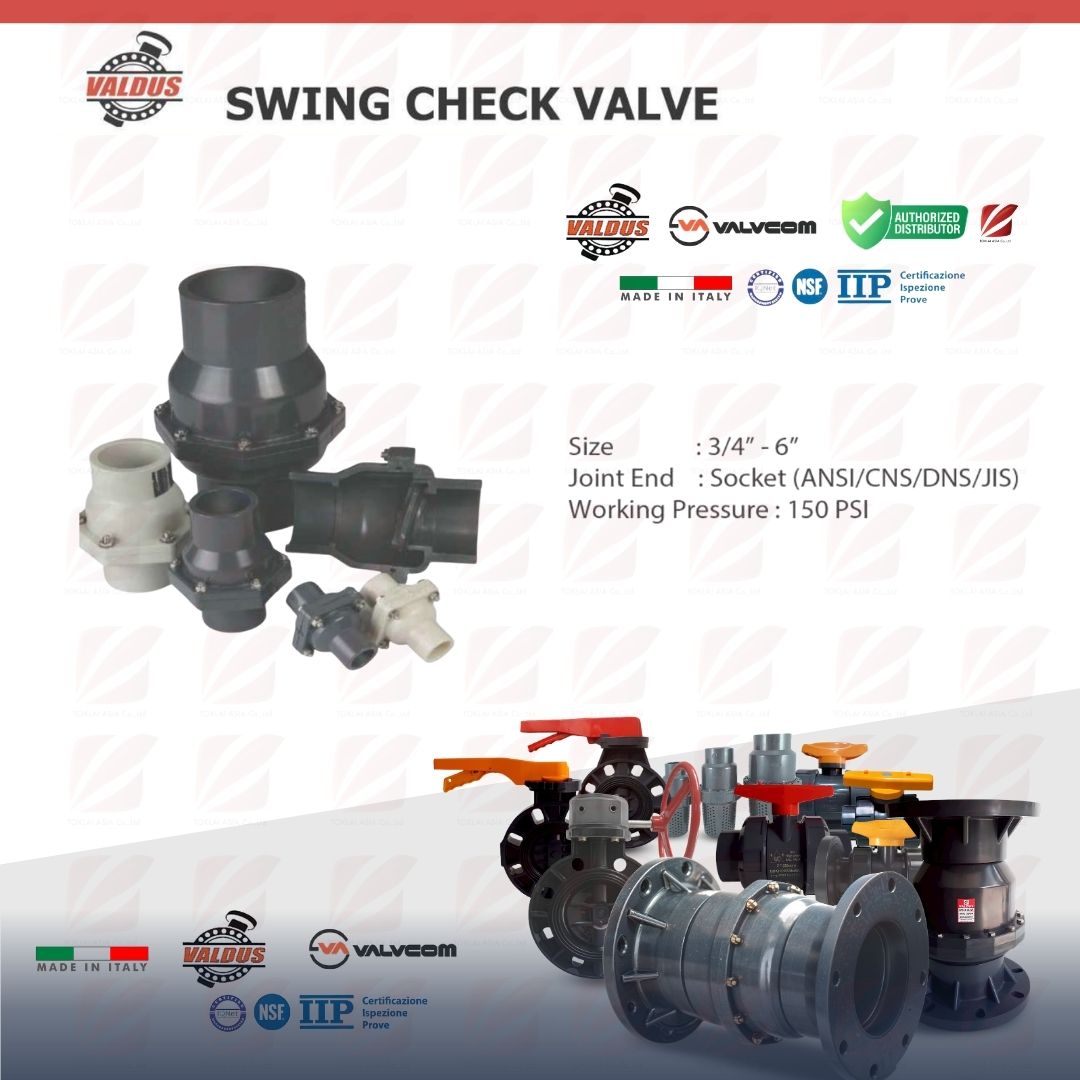 Valdus SWING CHECK VALVE (Italy)