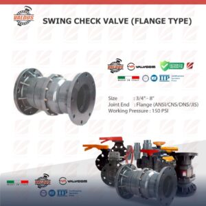 Valdus SWING CHECK VALVE FLANGE TYPE (Italy)